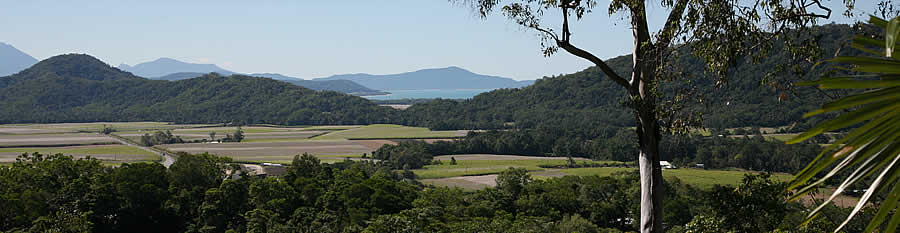 View of the Port Douglas hinterlands